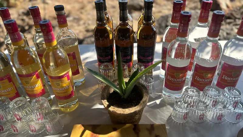 Mezcales Casa Armando